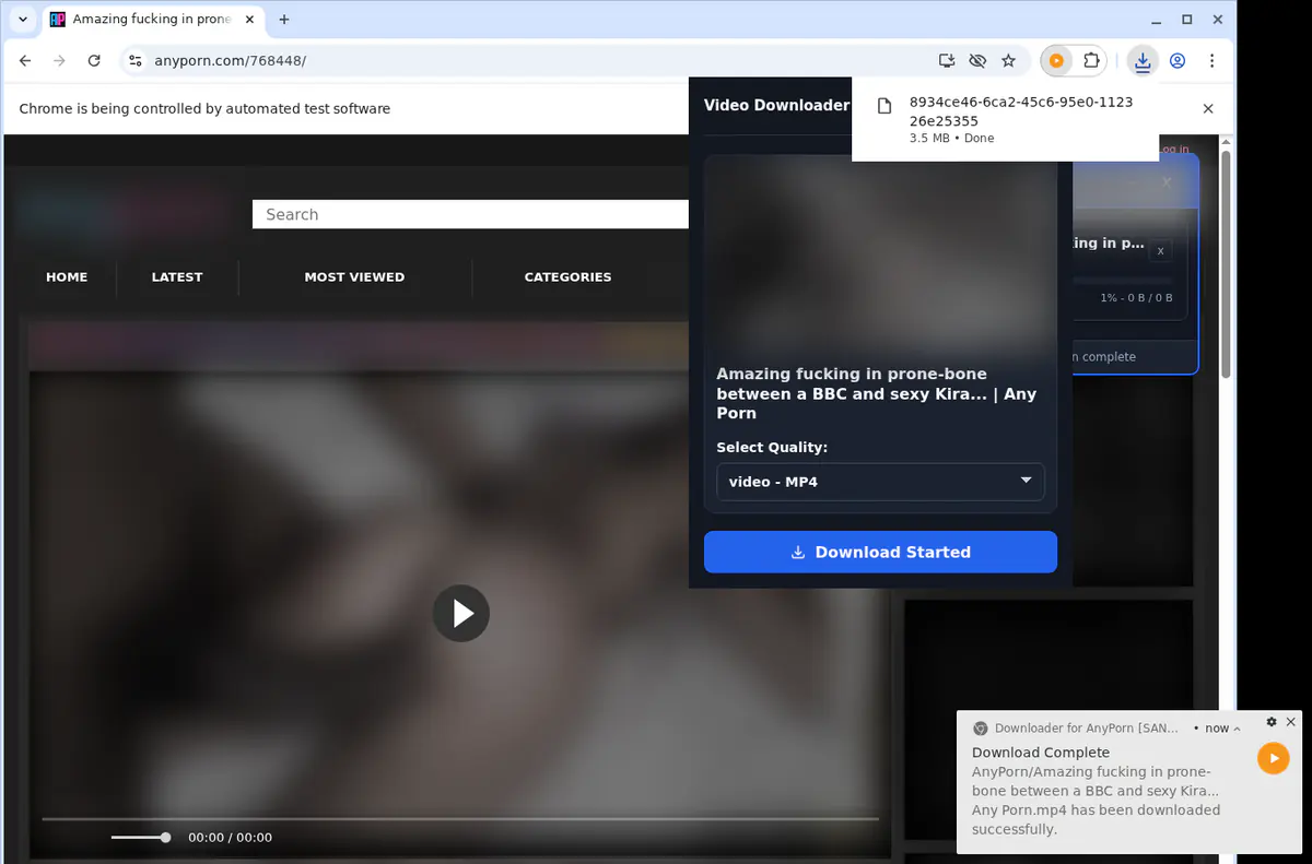Anyporn Video Downloader browser extension screenshot 3