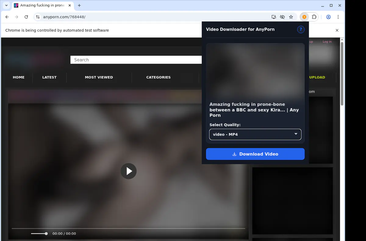 Anyporn Video Downloader browser extension screenshot 4